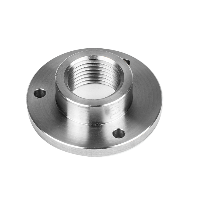 Stainless Steel Flanges