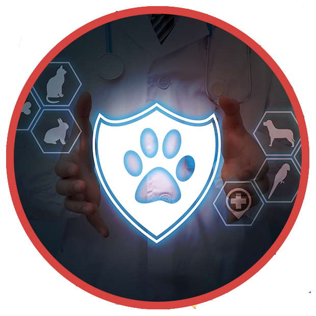 Veterinary