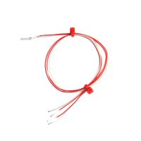 Platinum Resistance Detectors with extended leads, Thin Film - Pt100 Class B-2-wire - 300mm extended lead length