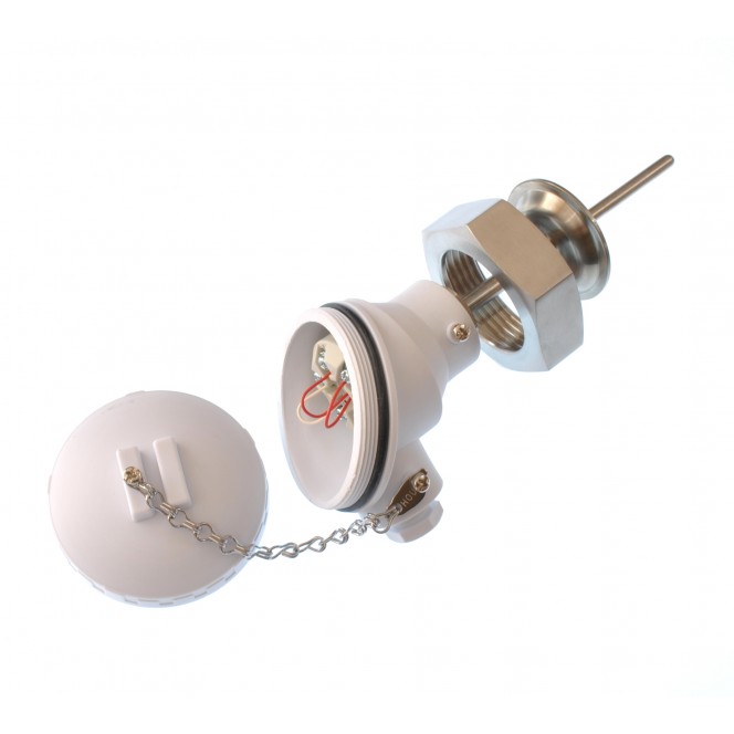 New Products on the Website