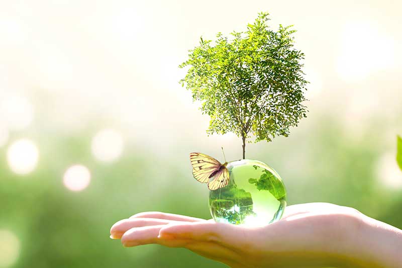 labfacility - Environmental Policy Statement Labfacility - Environmental Policy Statement